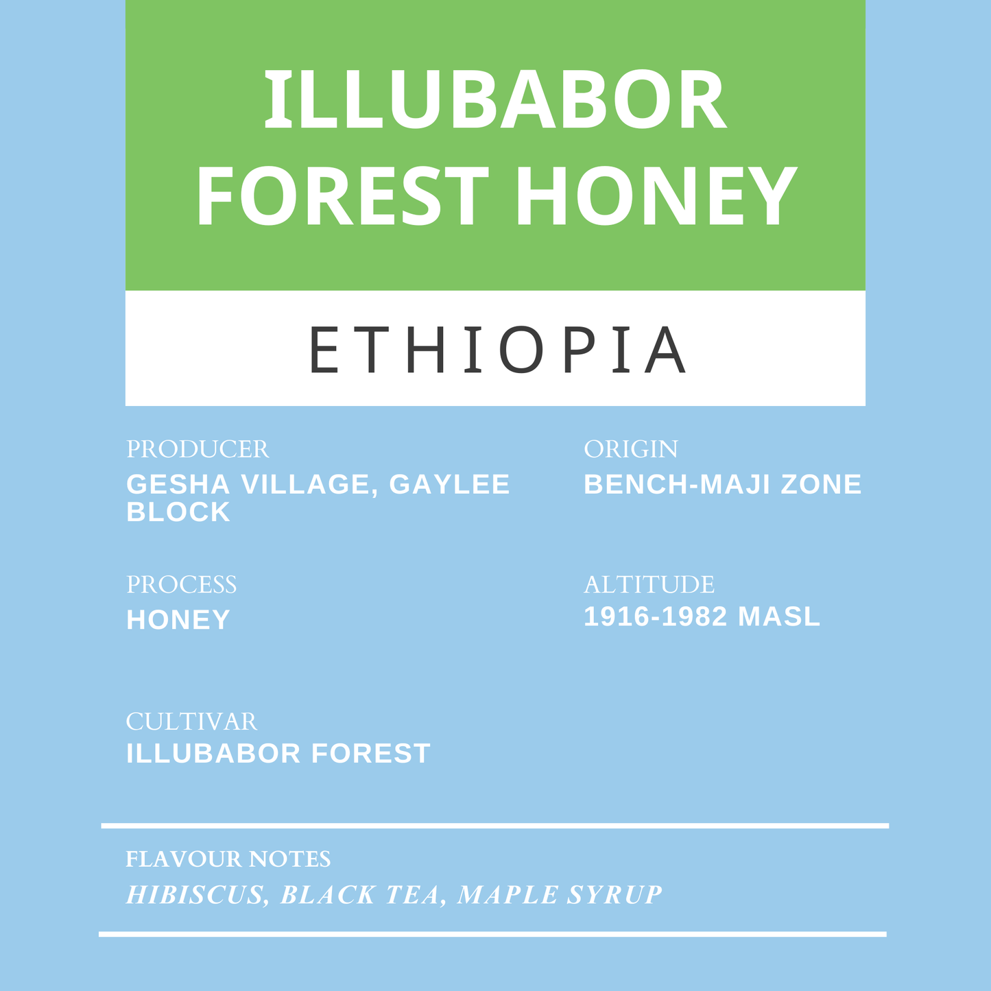 Gesha Village Illubabor Forest Honey