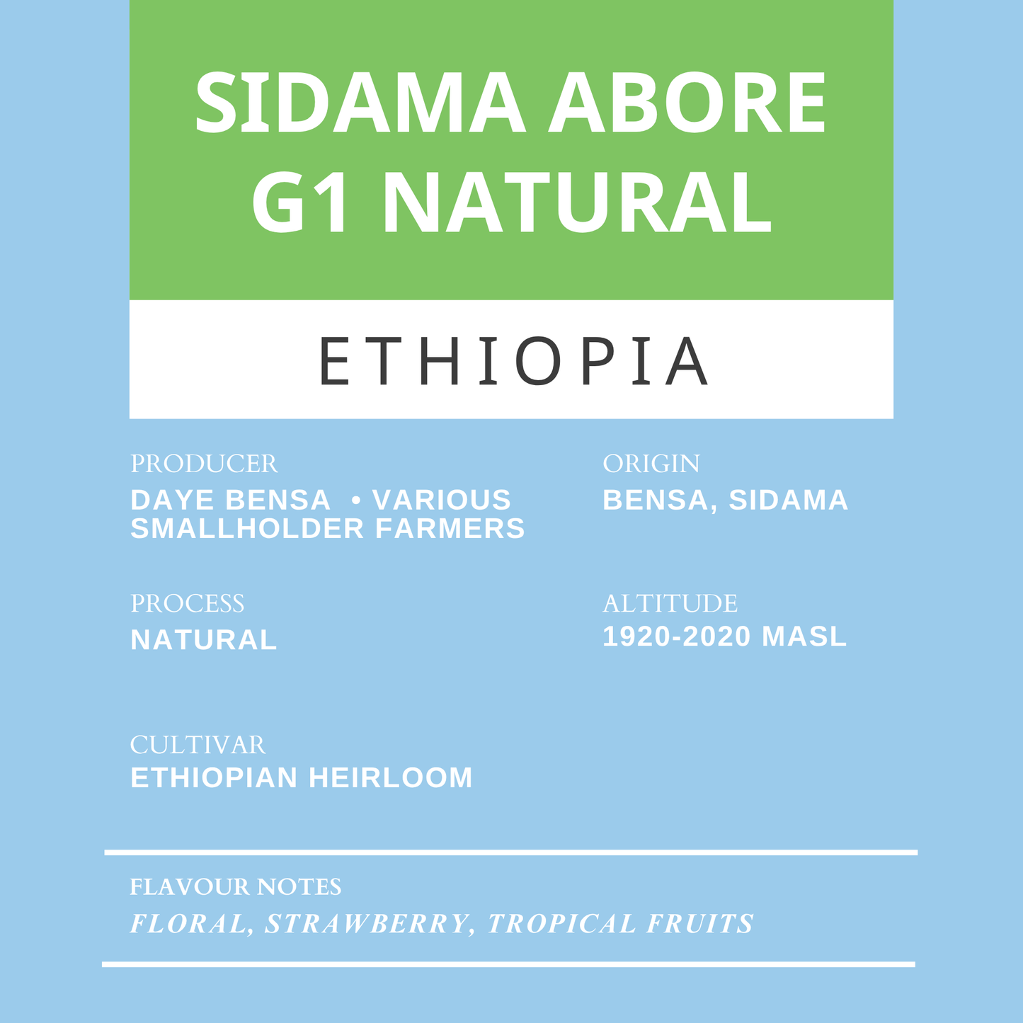 Sidama Abore G1 Natural