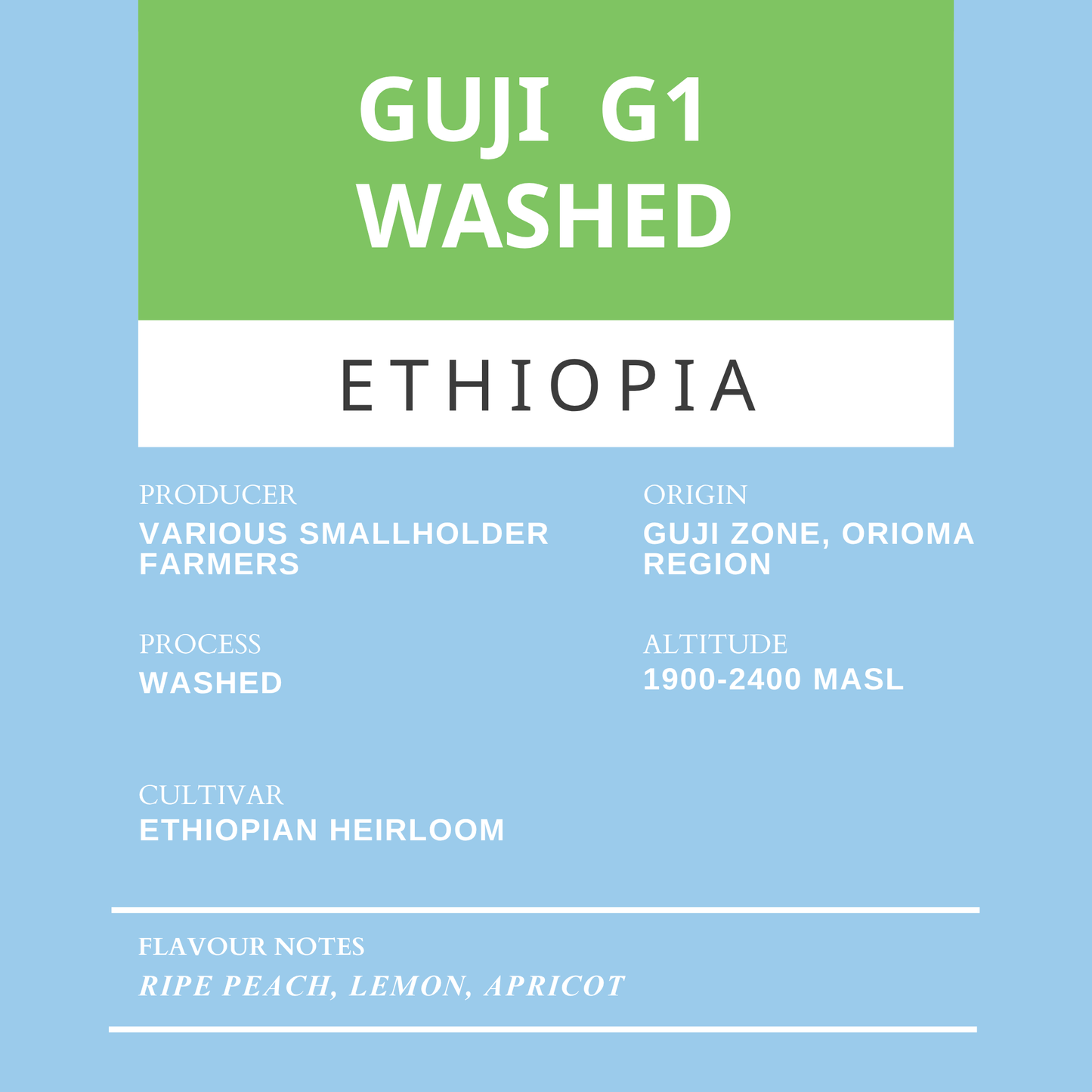 Guji G1 Washed