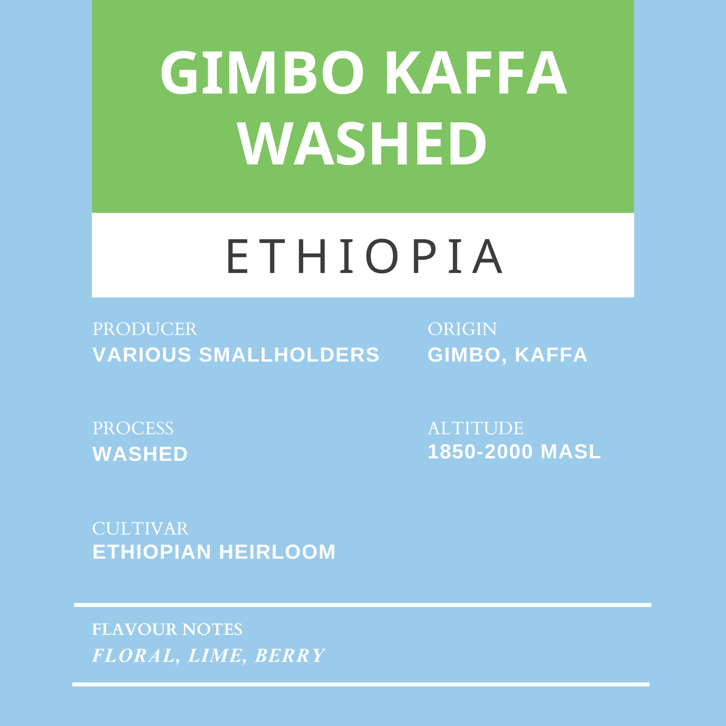 Kaffa Gimbo Washed