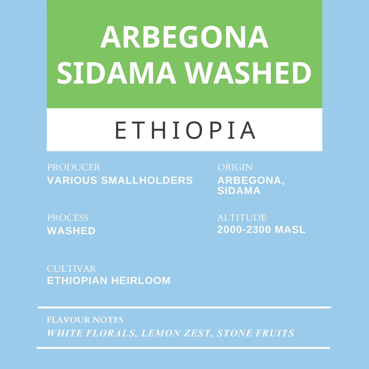 Arbegona Sidama Washed