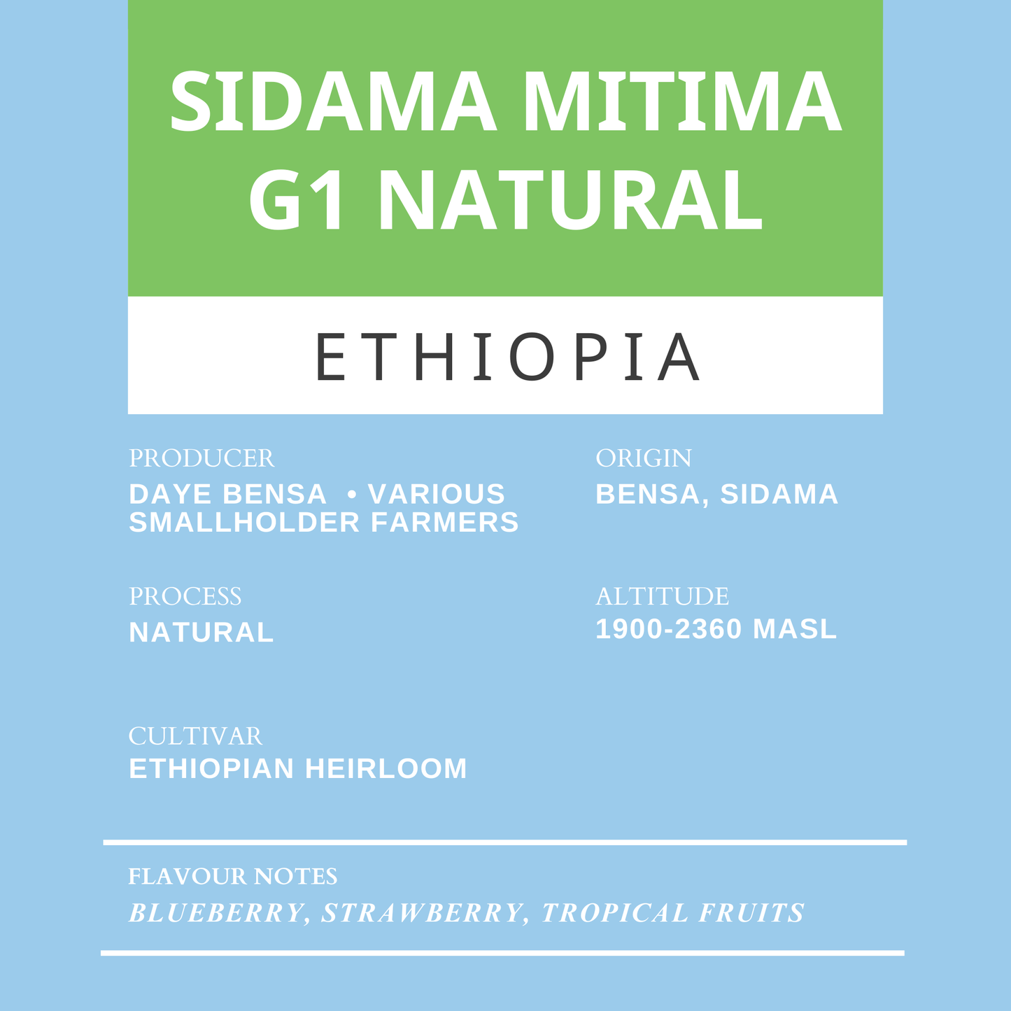 Sidama Mitima G1 Natural