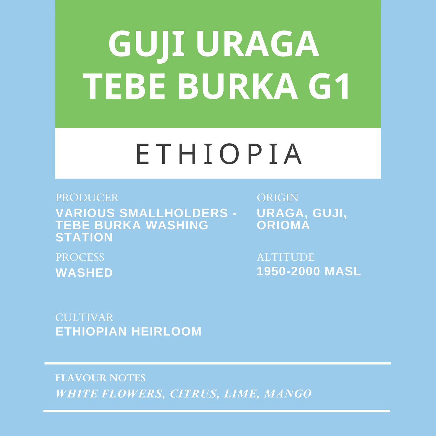 Guji Uraga Tebe Burka G1